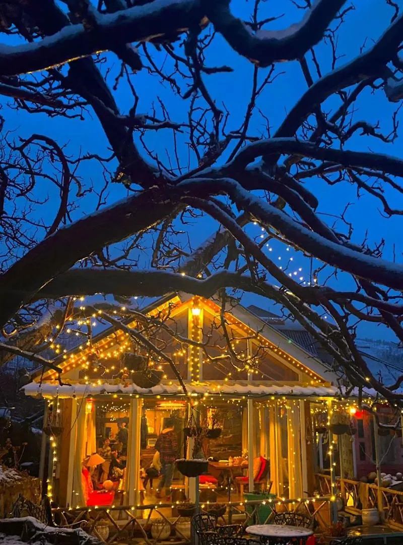 Hotel Meenabagh Homes Ratnari Shimla India