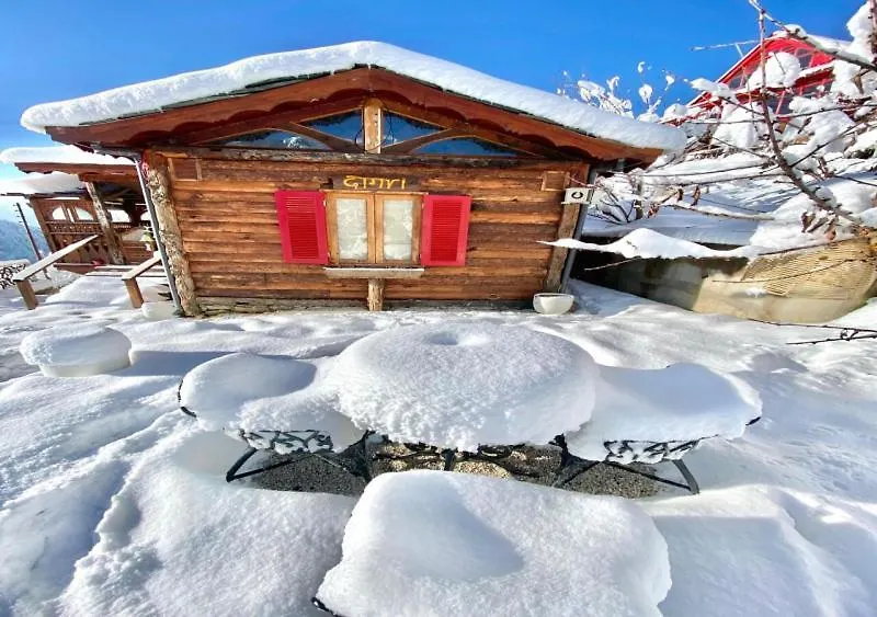 Meenabagh Homes Ratnari Šimla Hotel