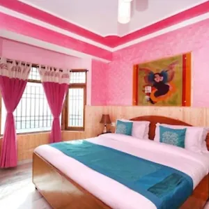 Hill View Shimla